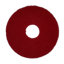 Bissell Big Green Commercial 437.055BG