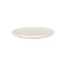 RAK Porcelain USA STCP24