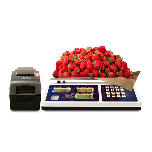 Penn Scale CM101-1RS232