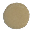 Bissell Big Green Commercial 437.054BG