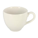 picture of RAK Porcelain USA VNCLCU09WH