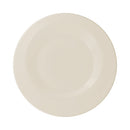 picture of RAK Porcelain USA GIDP24