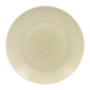 picture of RAK Porcelain USA VNNNPR29PL