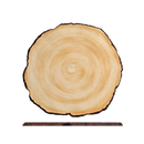 picture of World Tableware FWS-15