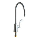 Chicago Faucets 350-GN8AE3-317XKAB