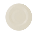 picture of RAK Porcelain USA GIFP21