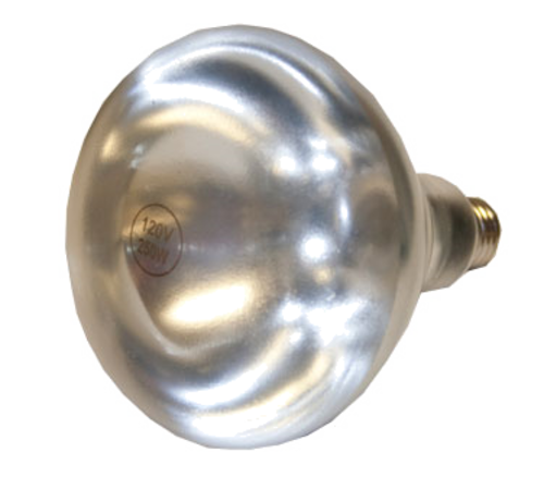 picture of Globe CHL-BULB