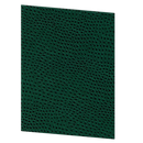 picture of Risch CH-1V 5.5X8.5