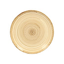 picture of RAK Porcelain USA TWNNPR24BE