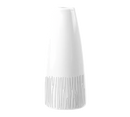 Churchill China WHBALBV 1