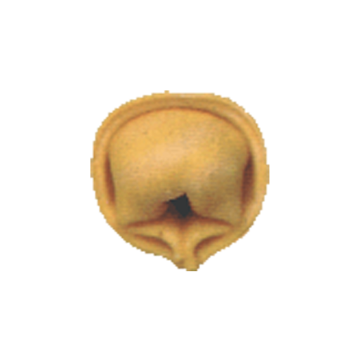 Arcobaleno Pasta Equipment MOLD-CAP-A2B