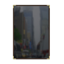 picture of Risch SEV-1P2V 11X17