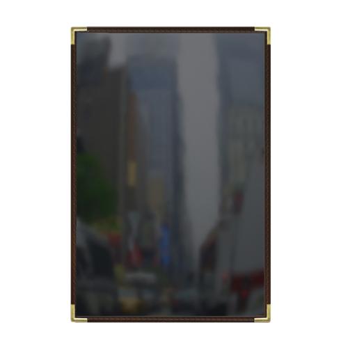 picture of Risch SEV-1P2V 11X17