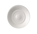 picture of RAK Porcelain USA FDSA15