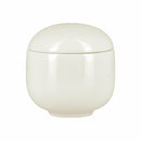 picture of RAK Porcelain USA STSU19