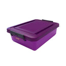 picture of RCR AraBrands, Inc. 61172