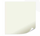 International Tableware WPP-12
