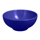 picture of RAK Porcelain USA NFOPNB15BB