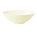 picture of RAK Porcelain USA FDBO24