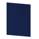 picture of Risch IRI-1V 4.25X11