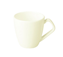 picture of RAK Porcelain USA PXCU09