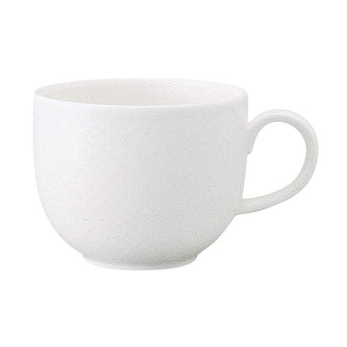 picture of Villeroy & Boch 16-2155-1270