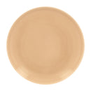 picture of RAK Porcelain USA VNNNPR15BG