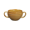 picture of RAK Porcelain USA SGR116CS28