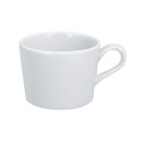 picture of RAK Porcelain USA ASCU20