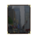 picture of Risch SEV-1P2V 8.5X11