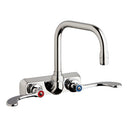 picture of Chicago Faucets W4W-DB6AE35-317AB