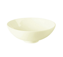 picture of RAK Porcelain USA FDBS23