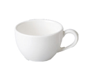 picture of RAK Porcelain USA BANC09