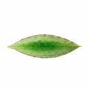 Costa Nova VEP182-00816L