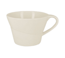 picture of RAK Porcelain USA GICU39